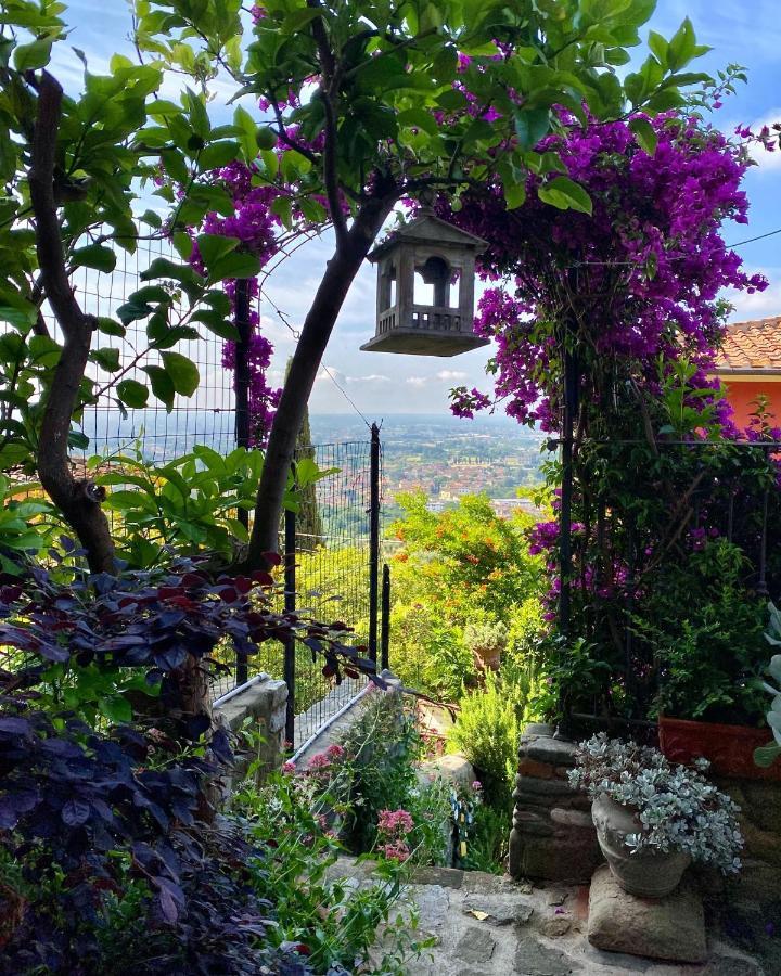 La Magione Dei Todaro Borgo a Buggiano Exterior photo